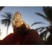 سنگ قیمتی اوپال ژله ای آتشین (93 قیراط - آفریقا )