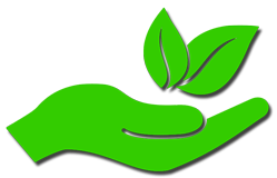 ترکیب هنر و طبیعت در گوهرنما